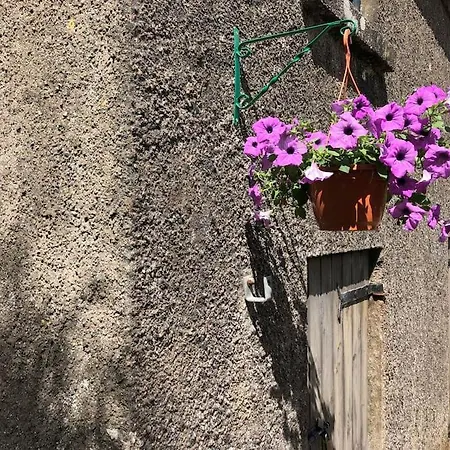 Lucy's Loft Apartment