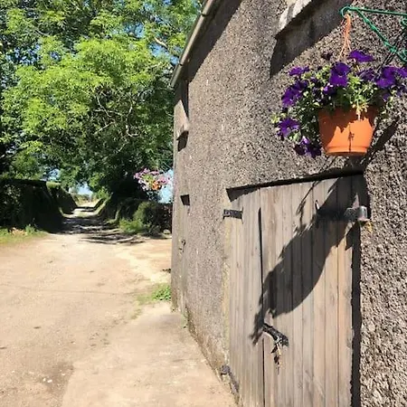 Lucy's Loft Apartment